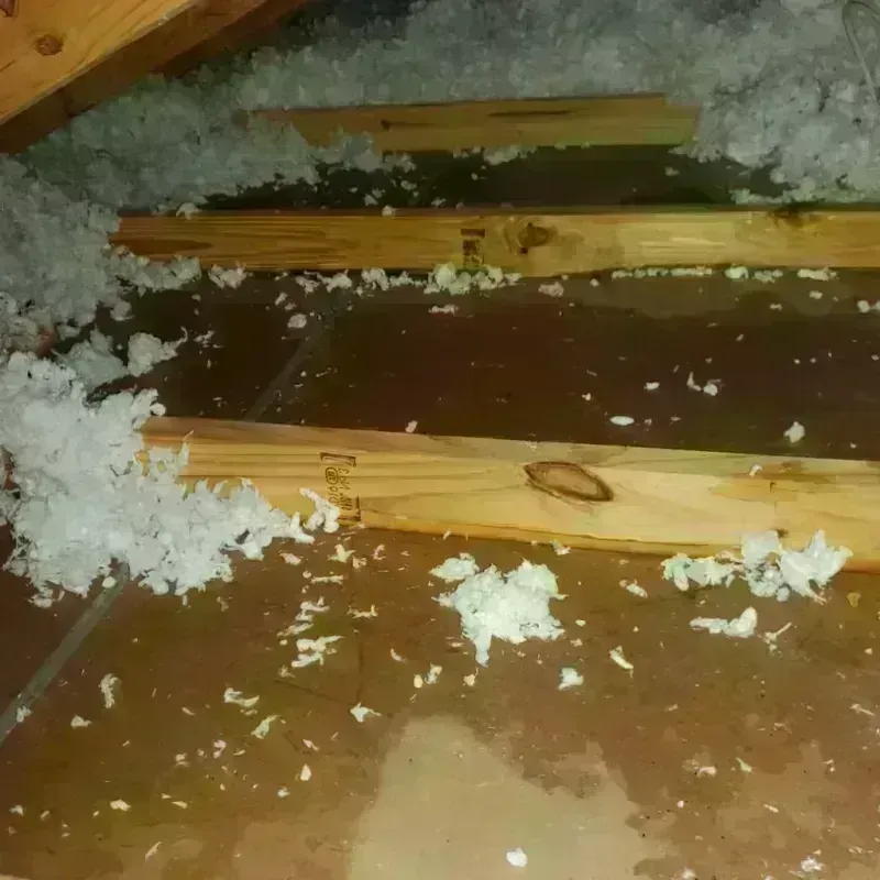 Attic Water Damage in Salisbury, MA