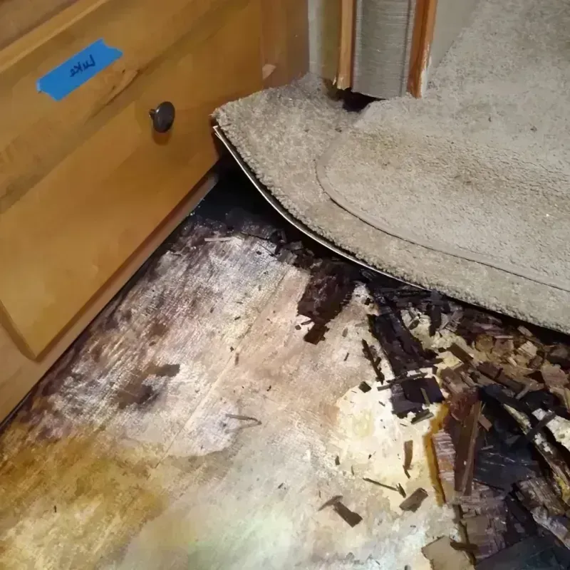 Best Wood Floor Water Damage Service in Salisbury, MA